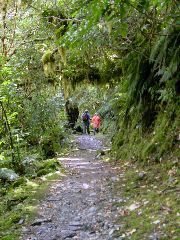 Trail Pals