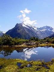 Reflecting Pool