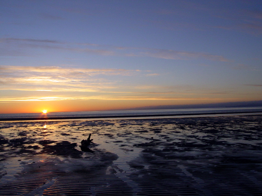 Rippled Beach