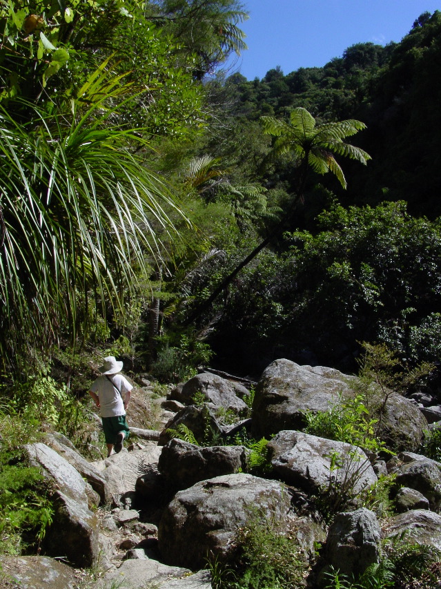 Mr. Green leads a hike