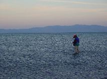 Ocean biologist