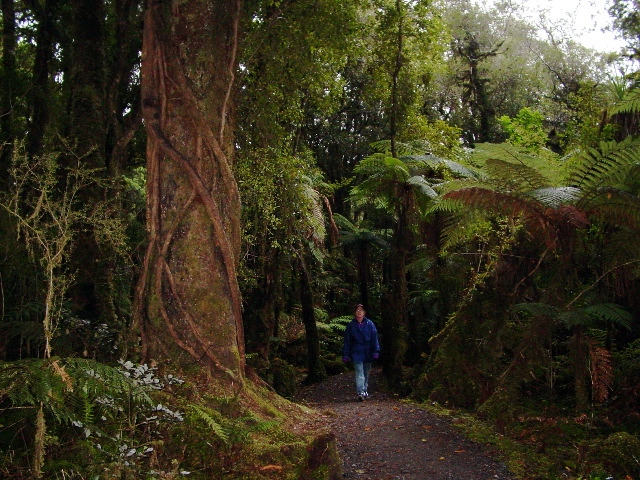 Pamela on the Path