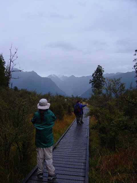 Path through the Marsh